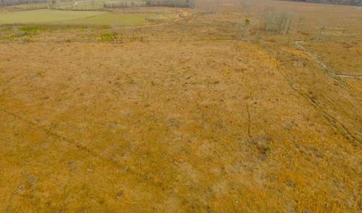 Photo of UNDER CONTRACT!  27.65 Acres of Hunting Land For Sale In Bertie County NC!