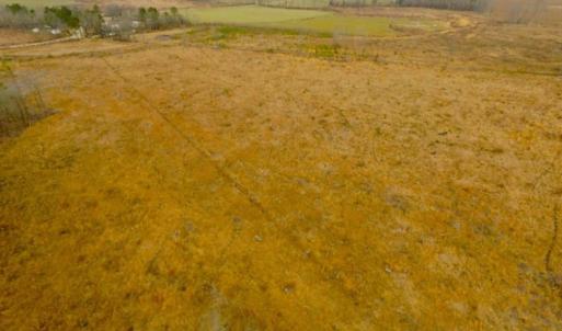 Photo of UNDER CONTRACT!  27.65 Acres of Hunting Land For Sale In Bertie County NC!