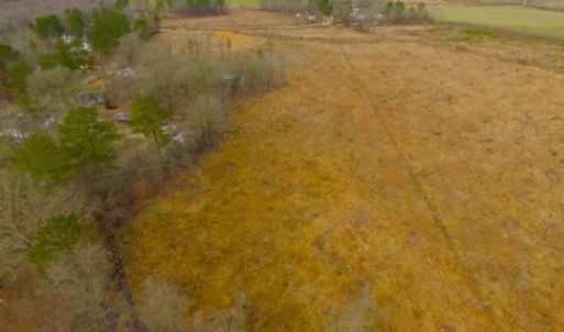 Photo of UNDER CONTRACT!  27.65 Acres of Hunting Land For Sale In Bertie County NC!