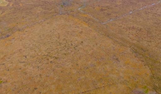Photo of UNDER CONTRACT!  27.65 Acres of Hunting Land For Sale In Bertie County NC!