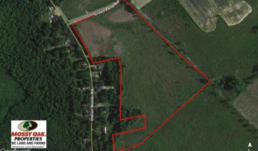 Photo of UNDER CONTRACT!  27.65 Acres of Hunting Land For Sale In Bertie County NC!