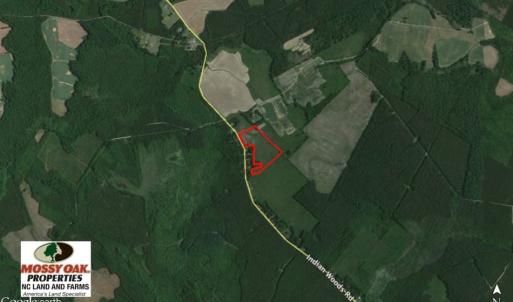 Photo of UNDER CONTRACT!  27.65 Acres of Hunting Land For Sale In Bertie County NC!