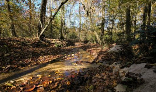 Photo of SOLD!  120 Acres of Hunting Land For Sale in Nash County NC!