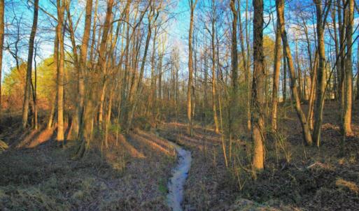 Photo of SOLD!  120 Acres of Hunting Land For Sale in Nash County NC!