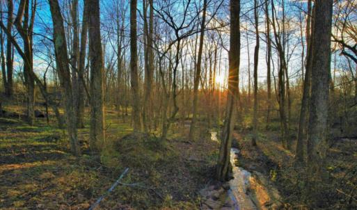 Photo of SOLD!  120 Acres of Hunting Land For Sale in Nash County NC!