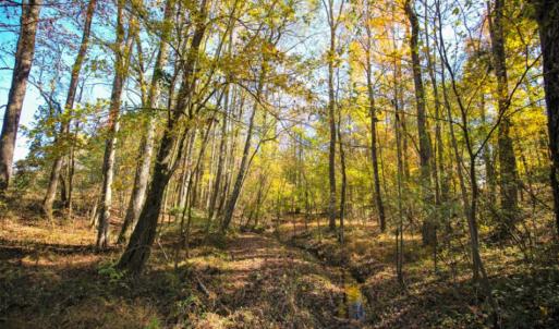 Photo of SOLD!  120 Acres of Hunting Land For Sale in Nash County NC!