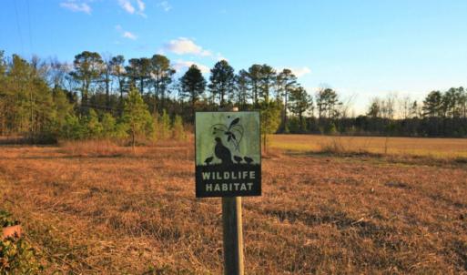 Photo of SOLD!  120 Acres of Hunting Land For Sale in Nash County NC!