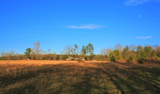 Photo of SOLD!  120 Acres of Hunting Land For Sale in Nash County NC!