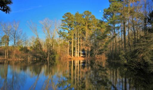 Photo of SOLD!  120 Acres of Hunting Land For Sale in Nash County NC!