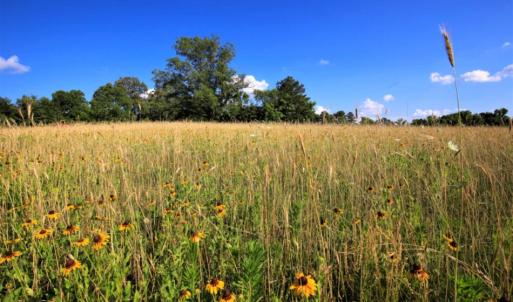Photo of SOLD!  120 Acres of Hunting Land For Sale in Nash County NC!