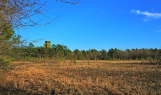 Photo of SOLD!  120 Acres of Hunting Land For Sale in Nash County NC!