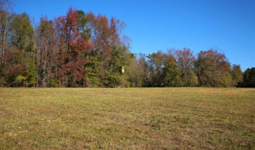 Photo of SOLD!  120 Acres of Hunting Land For Sale in Nash County NC!