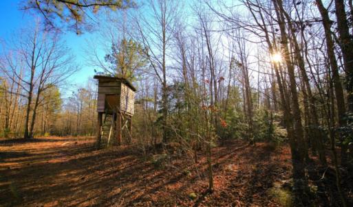Photo of SOLD!  120 Acres of Hunting Land For Sale in Nash County NC!