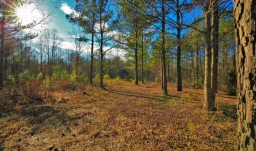 Photo of SOLD!  120 Acres of Hunting Land For Sale in Nash County NC!