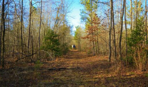 Photo of SOLD!  120 Acres of Hunting Land For Sale in Nash County NC!