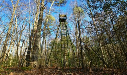 Photo of SOLD!  120 Acres of Hunting Land For Sale in Nash County NC!