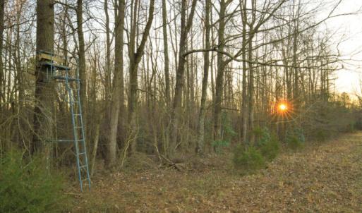 Photo of SOLD!  120 Acres of Hunting Land For Sale in Nash County NC!