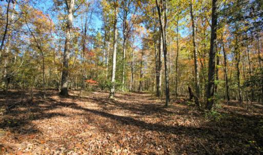Photo of SOLD!  120 Acres of Hunting Land For Sale in Nash County NC!