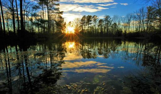 Photo of SOLD!  120 Acres of Hunting Land For Sale in Nash County NC!