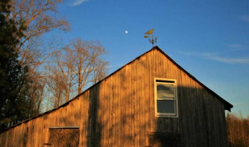 Photo of SOLD!  120 Acres of Hunting Land For Sale in Nash County NC!