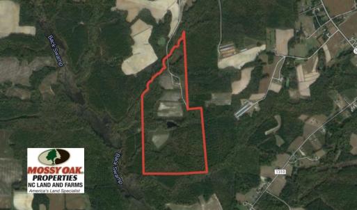 Photo of SOLD!  120 Acres of Hunting Land For Sale in Nash County NC!