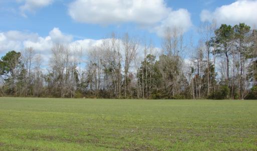 Photo of SOLD!  38 Acres of Farm and Timber Land For Sale in Columbus County NC!
