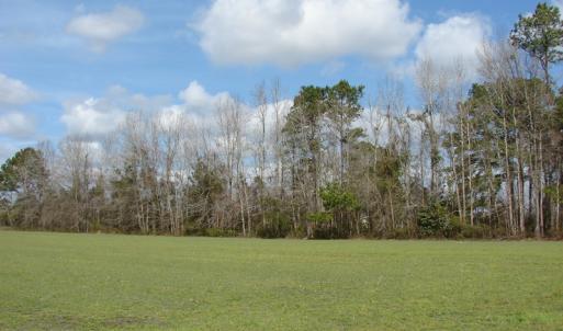 Photo of SOLD!  38 Acres of Farm and Timber Land For Sale in Columbus County NC!