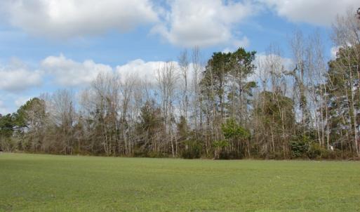 Photo of SOLD!  38 Acres of Farm and Timber Land For Sale in Columbus County NC!