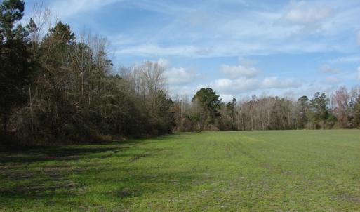 Photo of SOLD!  38 Acres of Farm and Timber Land For Sale in Columbus County NC!
