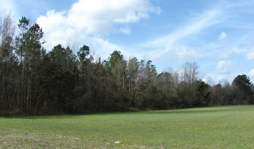 Photo of SOLD!  38 Acres of Farm and Timber Land For Sale in Columbus County NC!