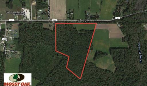 Photo of SOLD!  38 Acres of Farm and Timber Land For Sale in Columbus County NC!