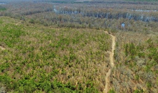 Photo of UNDER CONTRACT!  36.48 Acres of Hunting Land For Sale in Craven County NC!