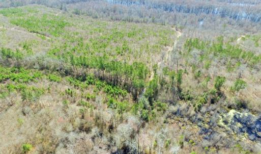Photo of UNDER CONTRACT!  36.48 Acres of Hunting Land For Sale in Craven County NC!