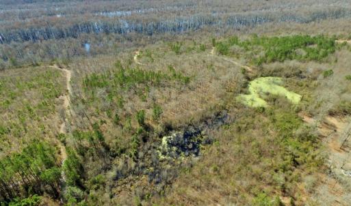 Photo of UNDER CONTRACT!  36.48 Acres of Hunting Land For Sale in Craven County NC!