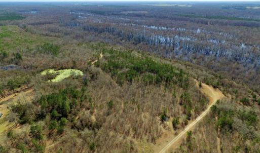 Photo of UNDER CONTRACT!  36.48 Acres of Hunting Land For Sale in Craven County NC!