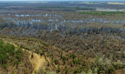 Photo of UNDER CONTRACT!  36.48 Acres of Hunting Land For Sale in Craven County NC!