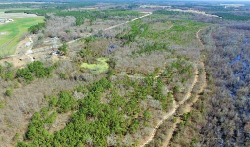 Photo of UNDER CONTRACT!  36.48 Acres of Hunting Land For Sale in Craven County NC!