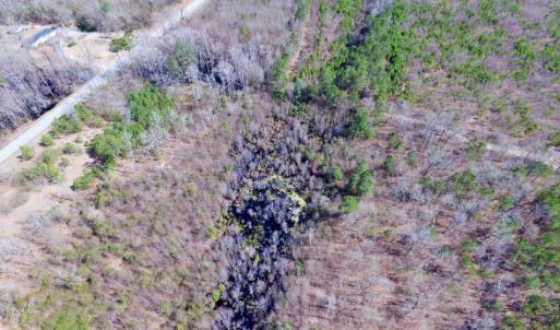Photo of UNDER CONTRACT!  36.48 Acres of Hunting Land For Sale in Craven County NC!