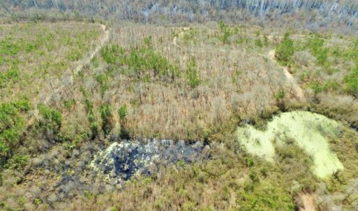 Photo of UNDER CONTRACT!  36.48 Acres of Hunting Land For Sale in Craven County NC!