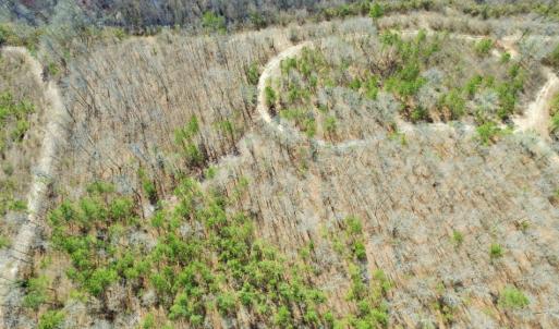 Photo of UNDER CONTRACT!  36.48 Acres of Hunting Land For Sale in Craven County NC!