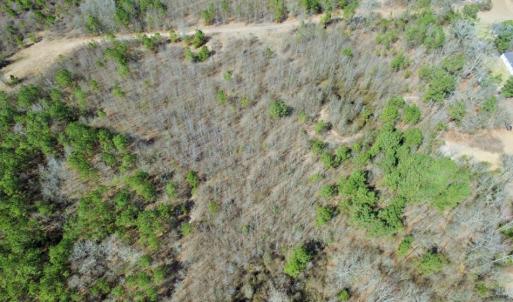 Photo of UNDER CONTRACT!  36.48 Acres of Hunting Land For Sale in Craven County NC!