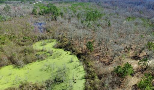 Photo of UNDER CONTRACT!  36.48 Acres of Hunting Land For Sale in Craven County NC!