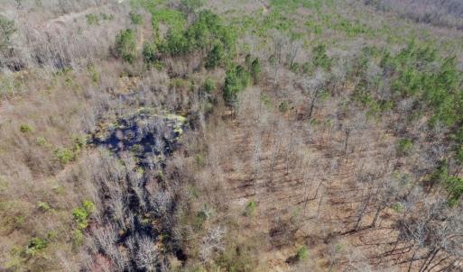 Photo of UNDER CONTRACT!  36.48 Acres of Hunting Land For Sale in Craven County NC!