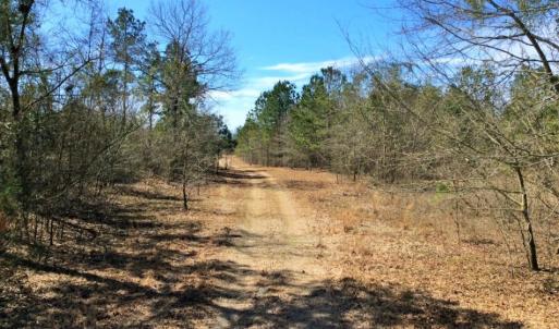 Photo of UNDER CONTRACT!  36.48 Acres of Hunting Land For Sale in Craven County NC!