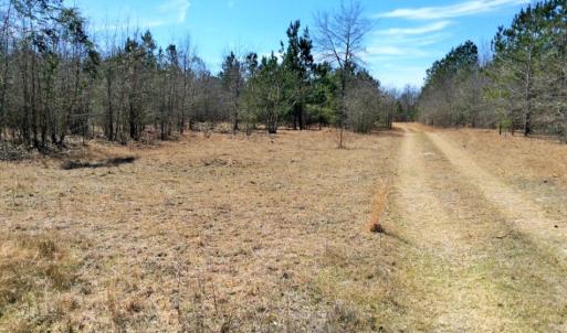 Photo of UNDER CONTRACT!  36.48 Acres of Hunting Land For Sale in Craven County NC!