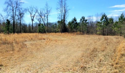 Photo of UNDER CONTRACT!  36.48 Acres of Hunting Land For Sale in Craven County NC!