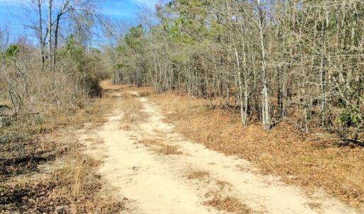 Photo of UNDER CONTRACT!  36.48 Acres of Hunting Land For Sale in Craven County NC!