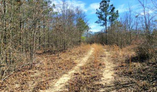 Photo of UNDER CONTRACT!  36.48 Acres of Hunting Land For Sale in Craven County NC!