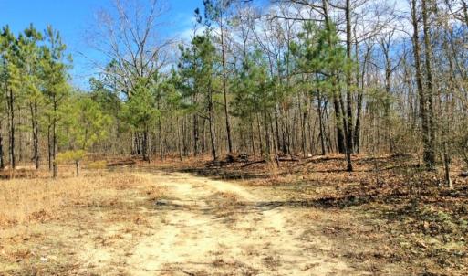 Photo of UNDER CONTRACT!  36.48 Acres of Hunting Land For Sale in Craven County NC!