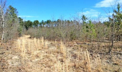Photo of UNDER CONTRACT!  36.48 Acres of Hunting Land For Sale in Craven County NC!